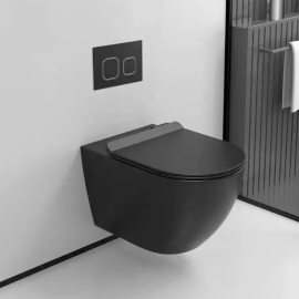 Matte back rimless wall hung toilet with UF seat cover