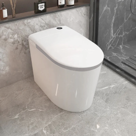 luxury professional modern bathroom electric bidet sanitary wc toilet bowl automatic intelligent matte black tankless fully